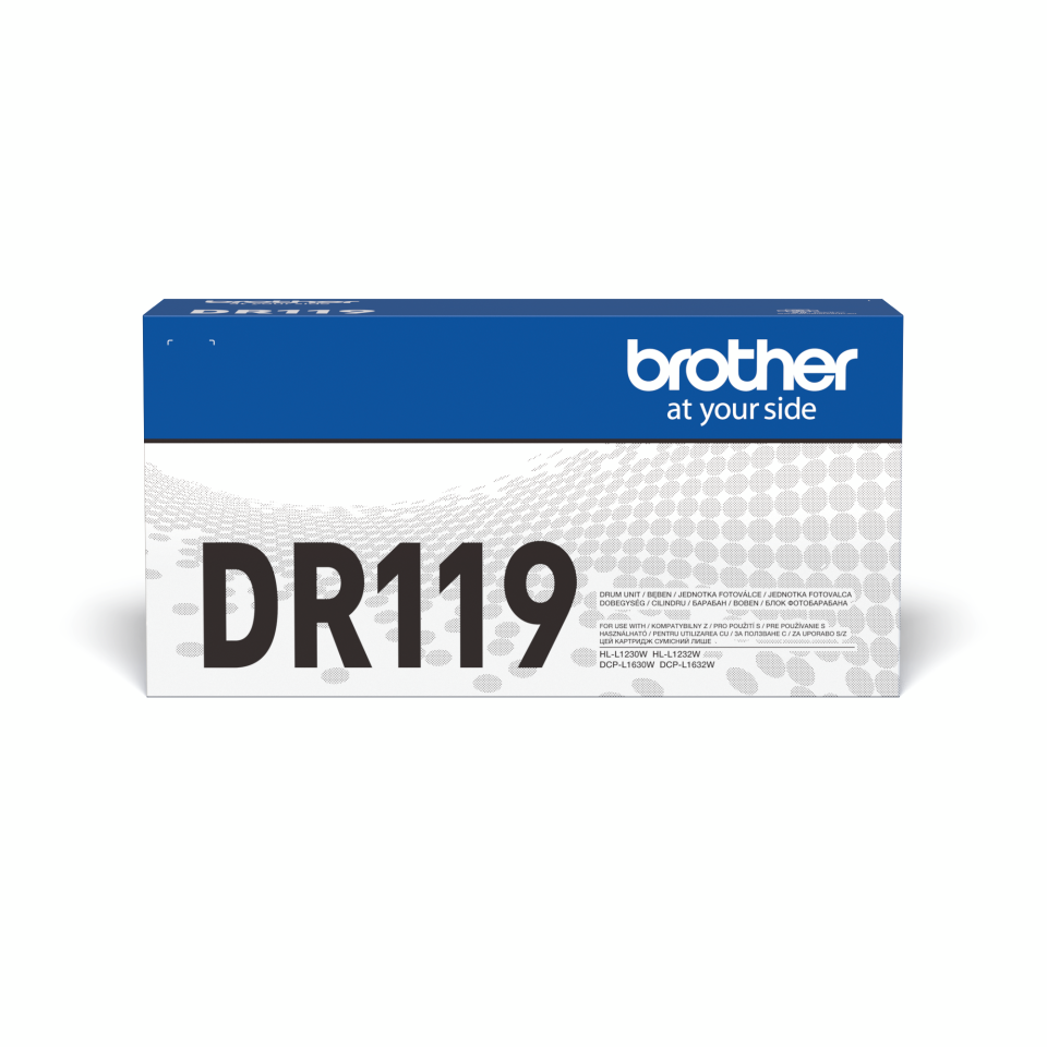Brother Boben DR119, 10.000 strani